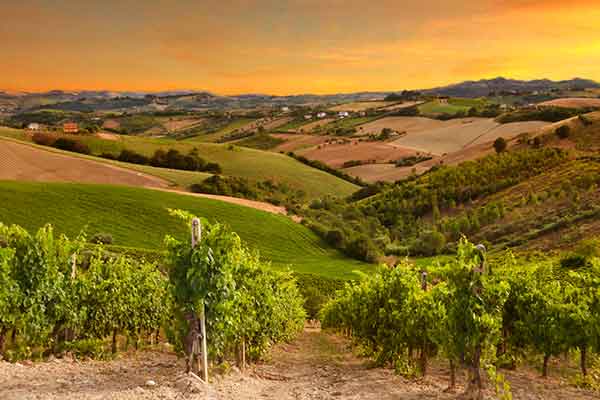 The rolling vineyards of the Entre-deux-Mers in the Gironde